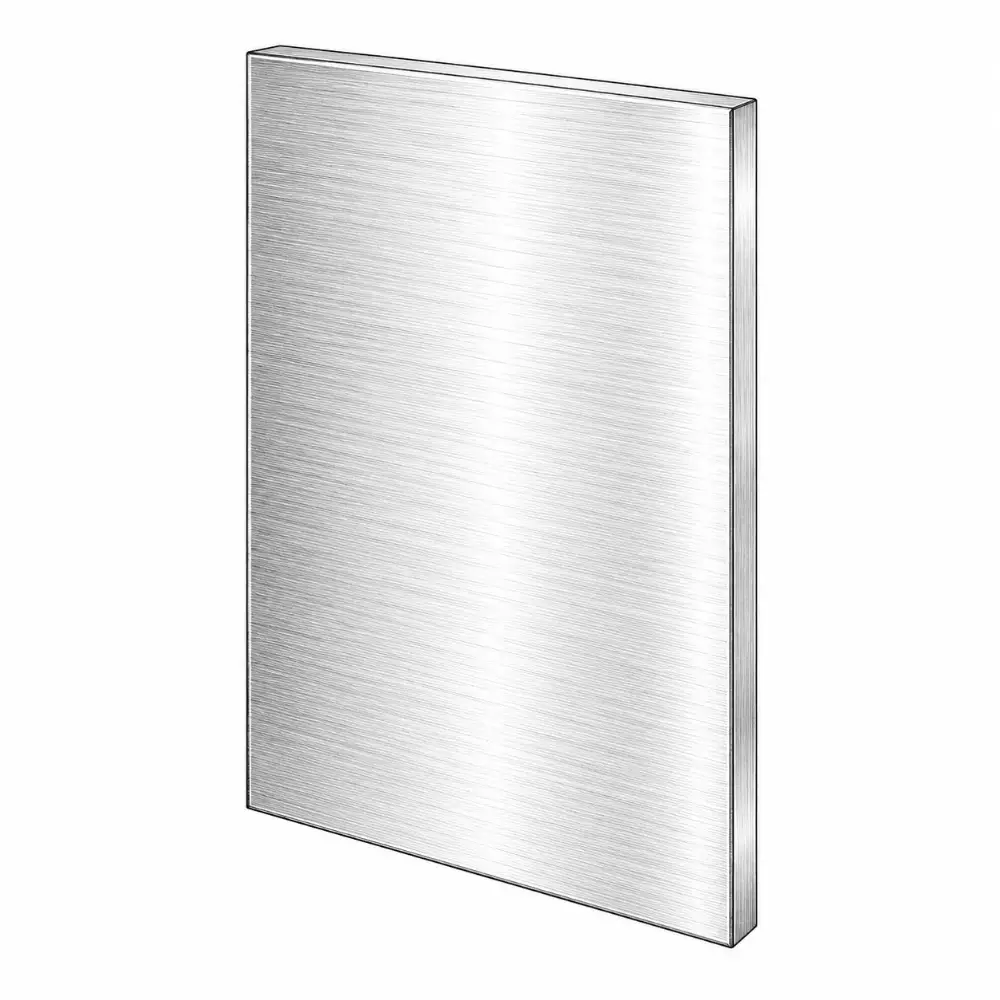 Stainless slab door